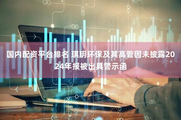 国内配资平台排名 琪玥环保及其高管因未披露2024年报被出具警示函