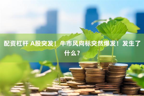 配资杠杆 A股突发！牛市风向标突然爆发！发生了什么？