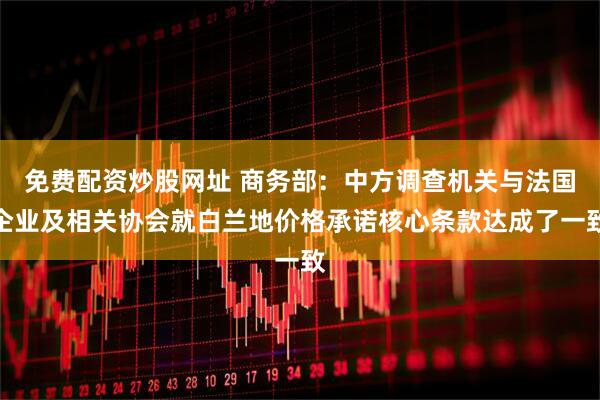 免费配资炒股网址 商务部：中方调查机关与法国企业及相关协会就白兰地价格承诺核心条款达成了一致