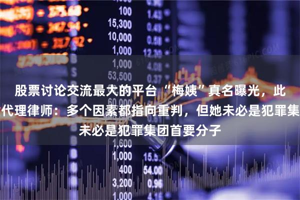 股票讨论交流最大的平台 “梅姨”真名曝光，此前被拐儿童代理律师：多个因素都指向重判，但她未必是犯罪集团首要分子